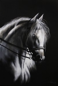 Irfan Ahmed, 24 x 36 Inch, Oil on Canvas, Horse Painting, AC-IRA-030